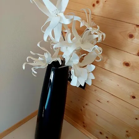 Herbalija Amalija - In The Embrace Of Wellbeing Apartman Podčetrtek