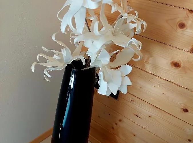 Herbalija Amalija - In The Embrace Of Wellbeing Apartment Podčetrtek